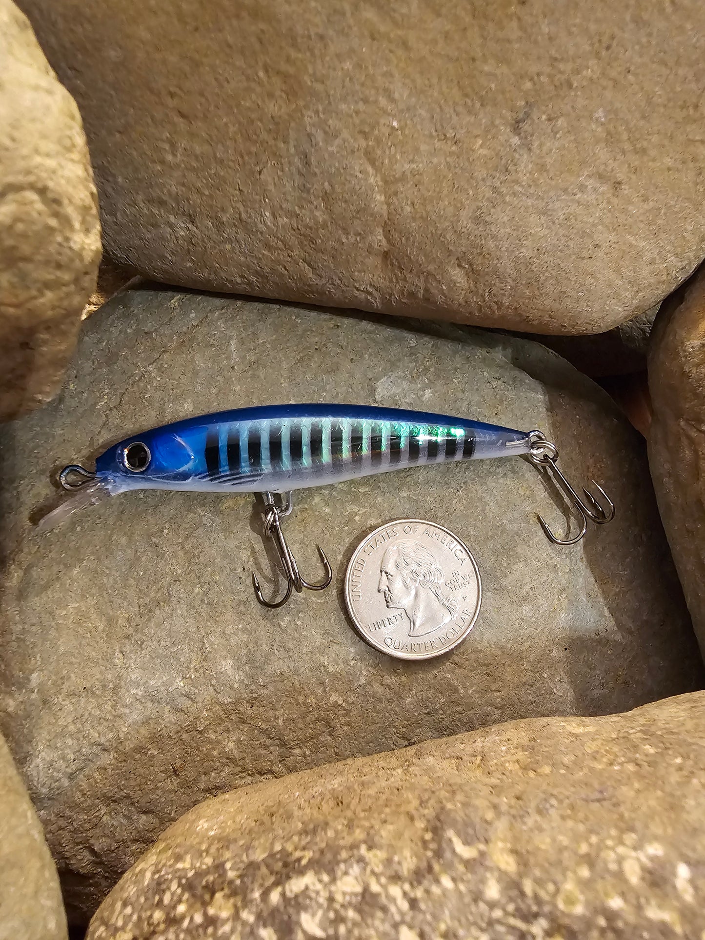 Medium Size Jerk Bait