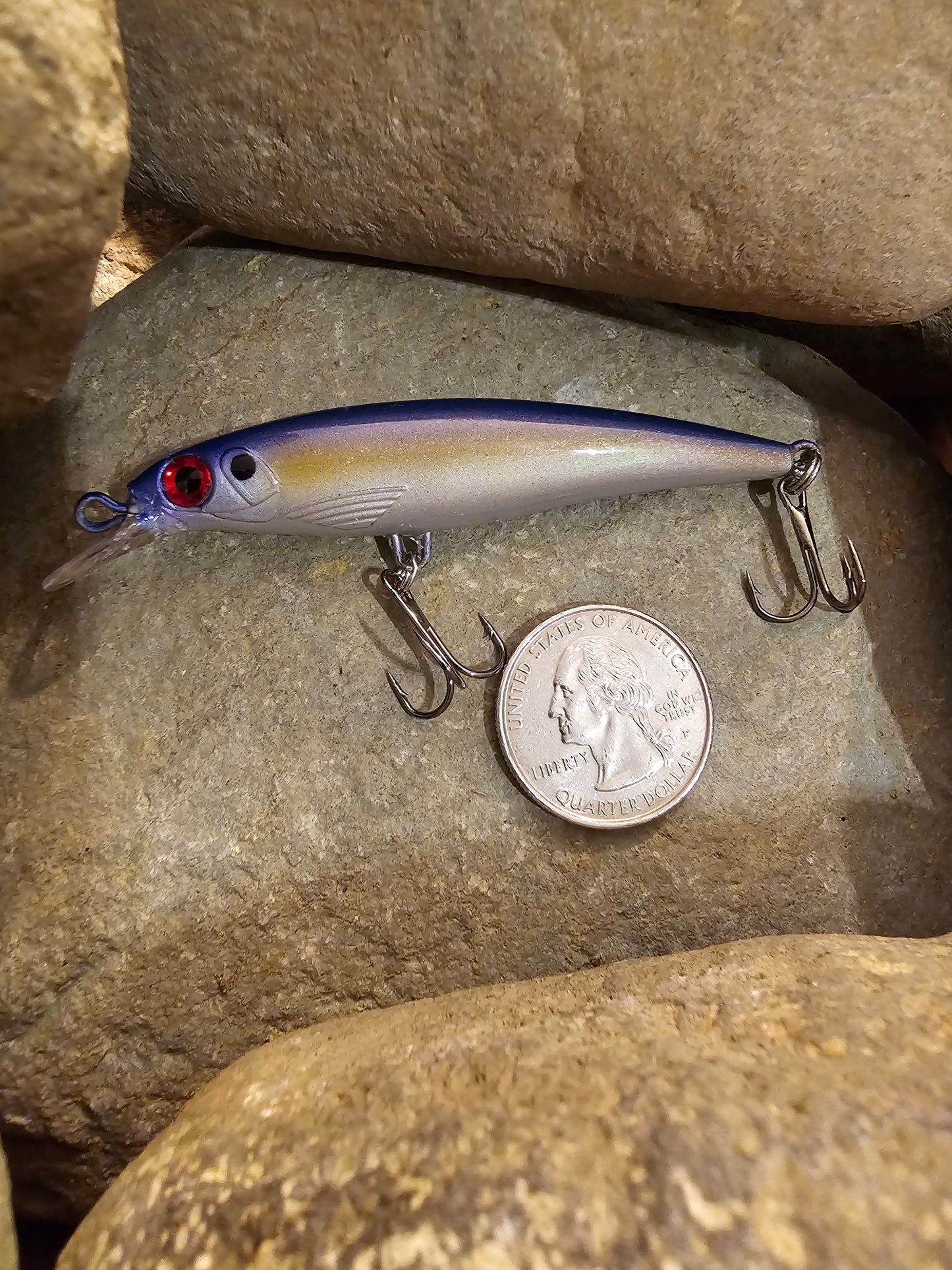 Medium Size Jerk Bait
