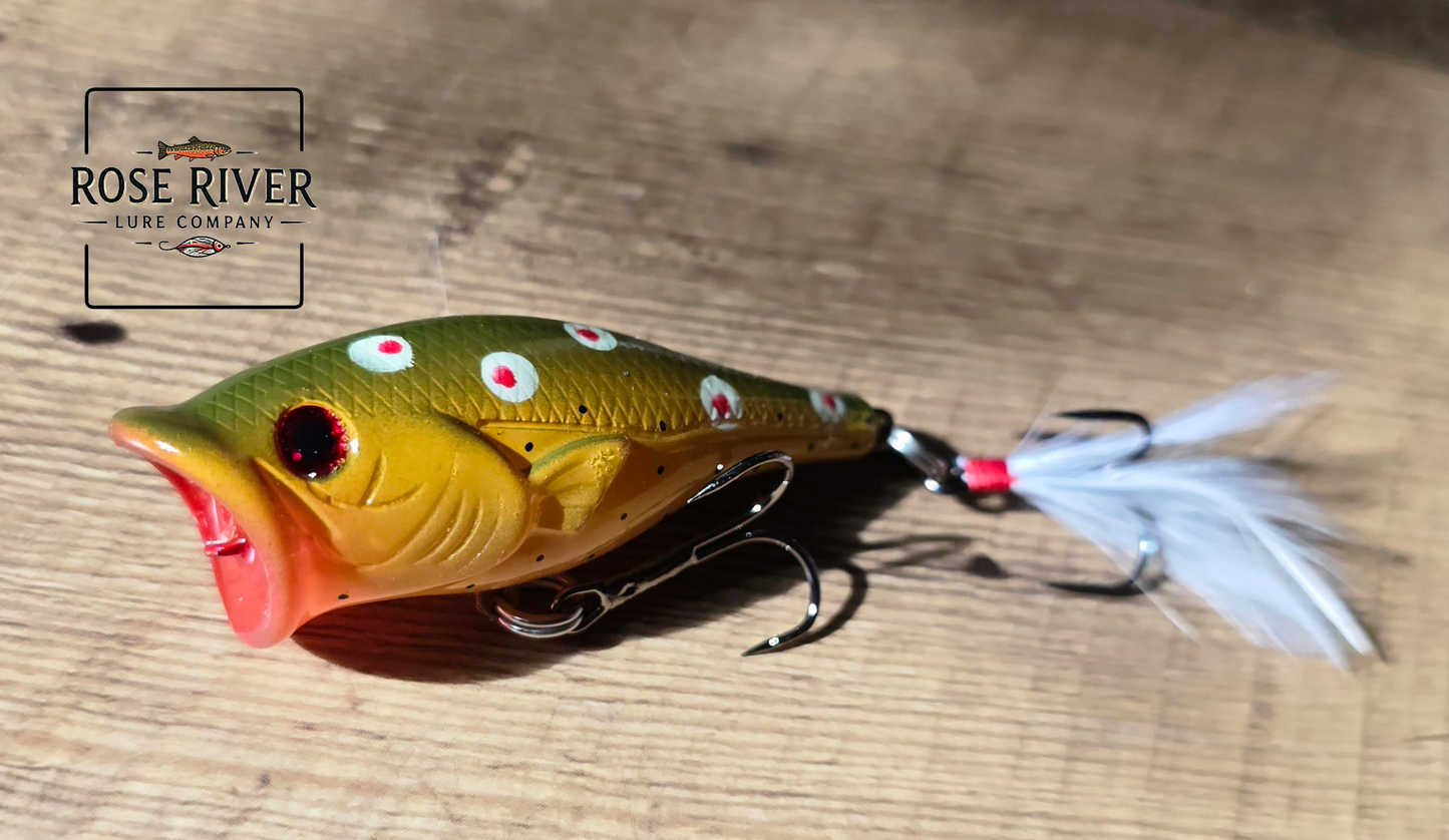 Top water poppers