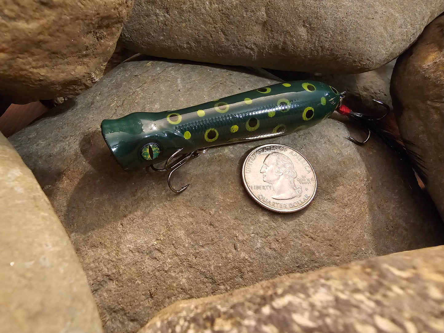 Top water poppers