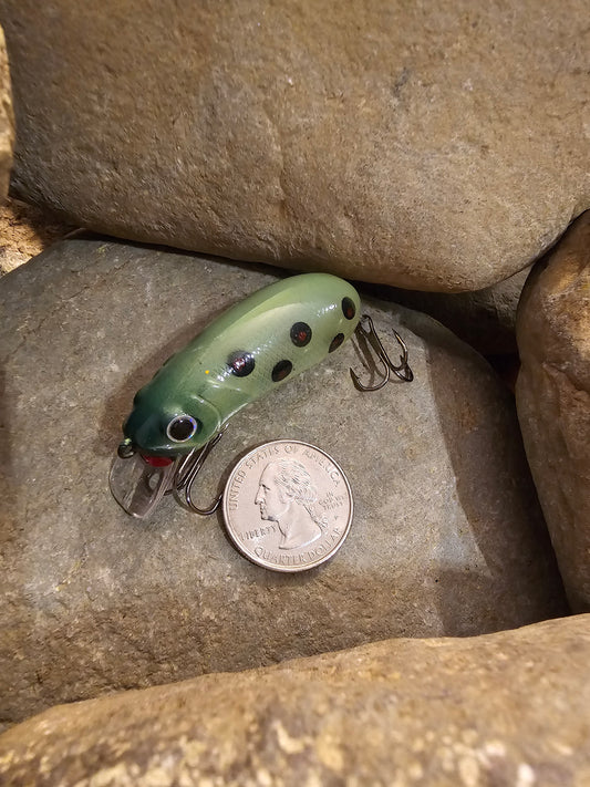 Surface Crawlers