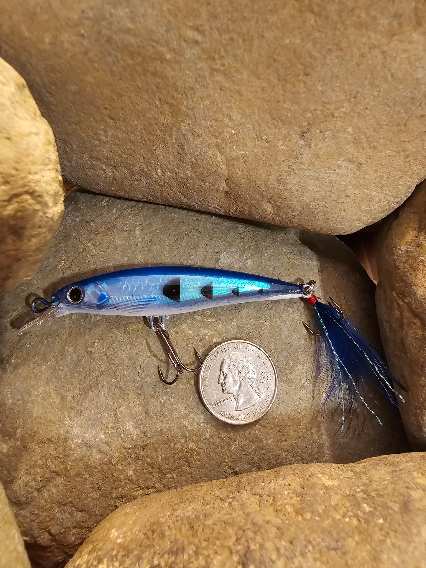 Medium Size Jerk Bait