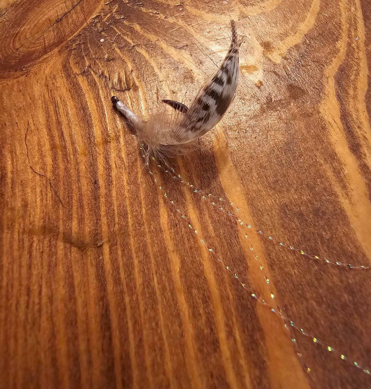 Dressed J hooks 6 packs 💪 with a sticker!